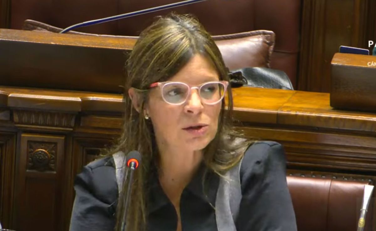 Interpelación al Mides y al INAU terminó sin mayoría para ninguna moción, ni de apoyo ni de rechazo