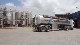 productores lacteos cuestionan medidas del sindicato de conaprole y reclaman ser recibidos por el presidente orsi