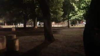 plaza seregni a oscuras: vecinos dicen que no hay luz desde hace 2 semanas y que favorece a delincuentes