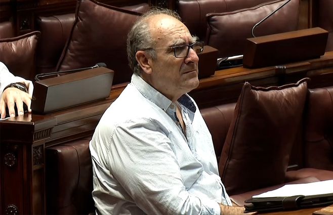 gustavo-olmos-diputado-frente-amplio-sesion-diputados.jpg