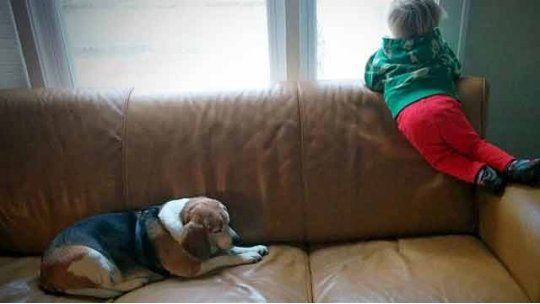moe y luke