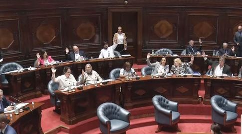 Con cambios, el Senado vota este miércoles el proyecto de asistencia a la Caja de Profesionales