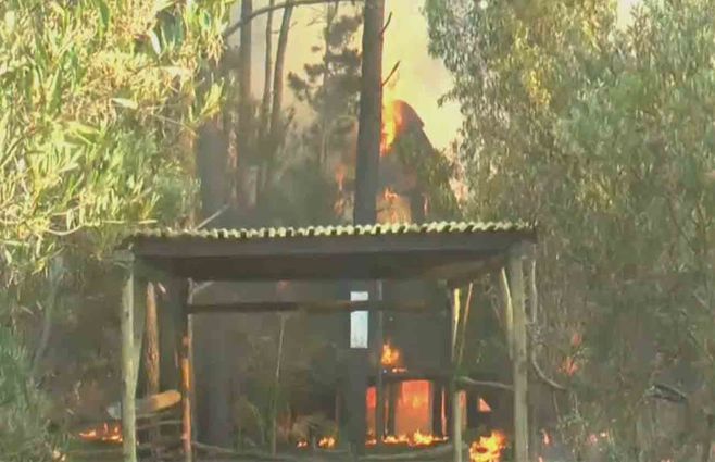 INCENDIO-WILLAN-UNO.jpg