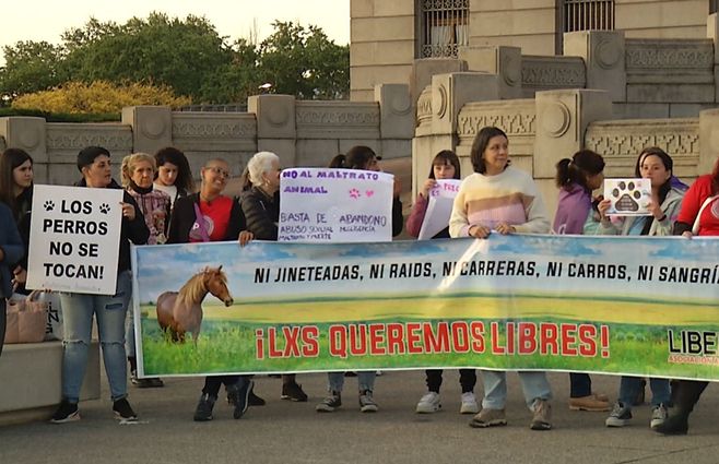 plataforma animalista.jpg