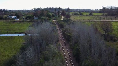 ministerio de ganaderia multo a afe por 460.000 pesos por mal uso de agroquimicos