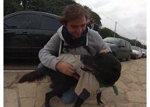 El perro del Mundial se reencontró con su dueño en Porto Alegre