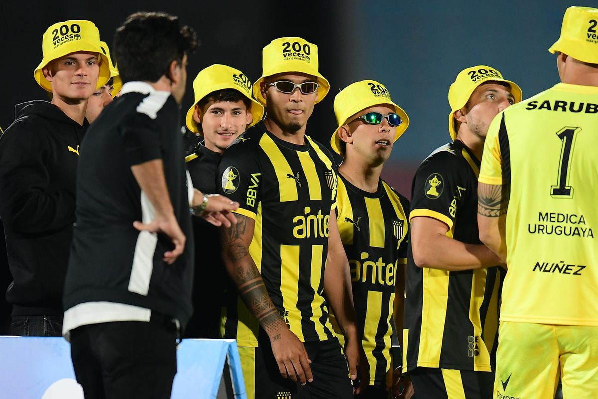 WhatsApp Image 2026-02-01 at 23.38.03