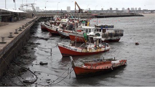 puerto bajante maldonado