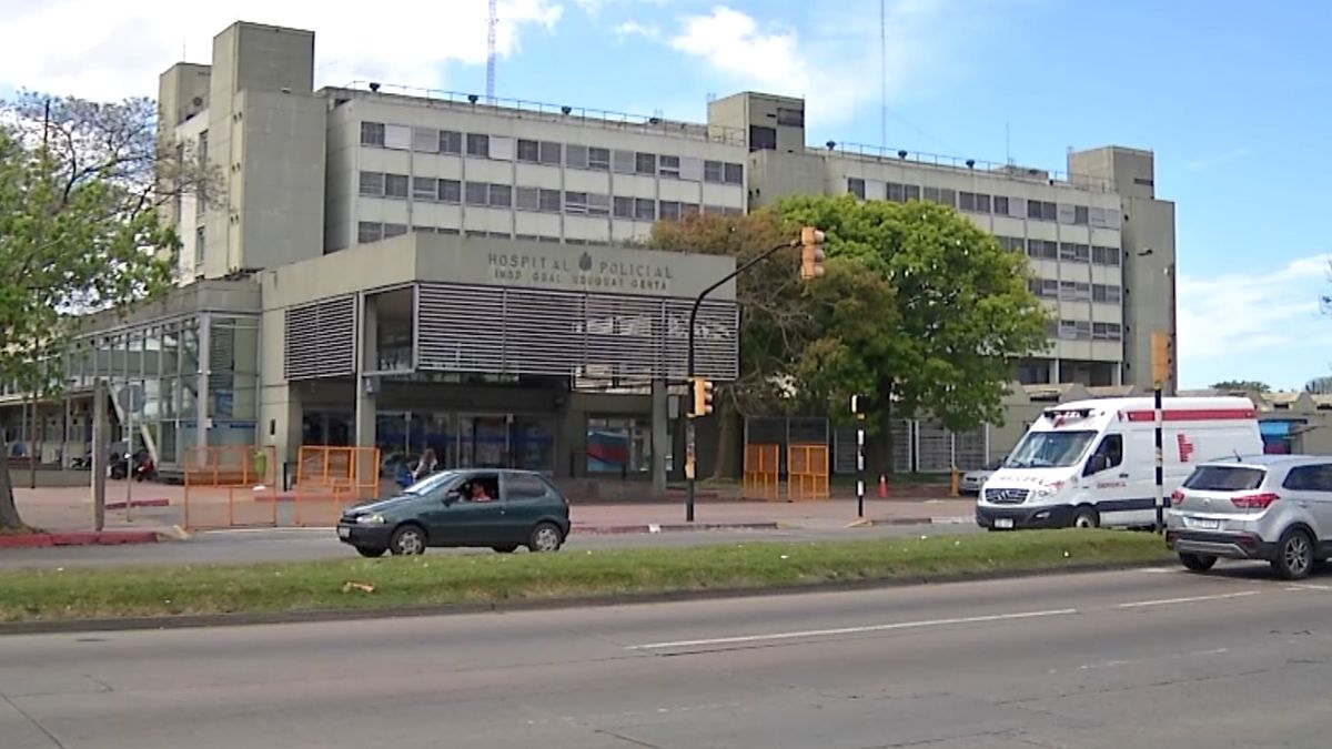 Eutanasia: se realizó este viernes el primer procedimiento al amparo de la ley de muerte digna