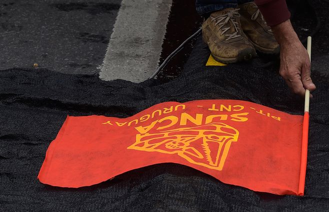 bandera-pitcnt-logo-foco-uy.jpg