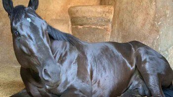 Subrayado | MICRO TURF 7 D ABR