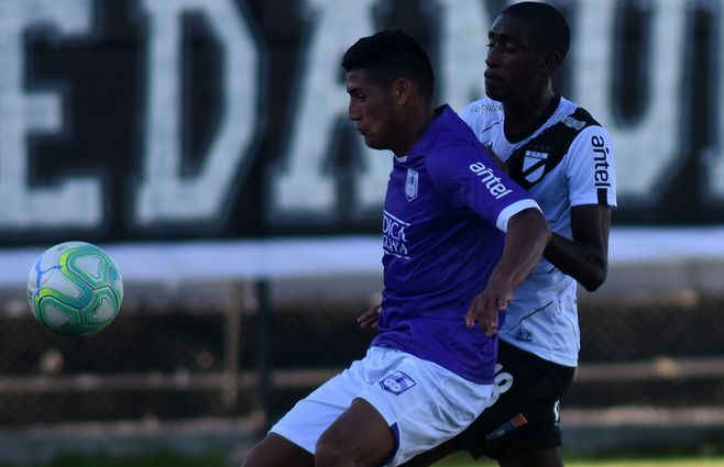 danubio-defensor-jardines.jpg