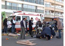 IM asumió responsabilidad en accidente con caballo en la rambla