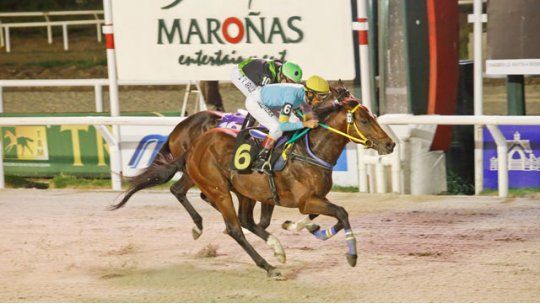 Oggigiorno se adjudicó el Gran Premio General Artigas (URU-G2) Oggigiorno se adjudicó el Gran Premio General Artigas (URU-G2)