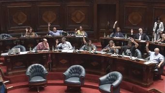 camara de senadores voto por unanimidad la rebaja irpf e iass; pasa a diputados