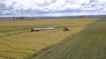 la economia uruguaya crecio 1,1% en el segundo trimestre y 7,7% en relacion al ano pasado