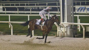 Subrayado | 15 MICRO TURF 3 D JUN