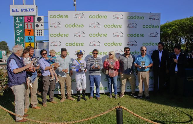 Blue Spark turf (3).jpg