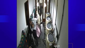 condenaron a un tercer delincuente por la rapina a un club cannabico de villa munoz