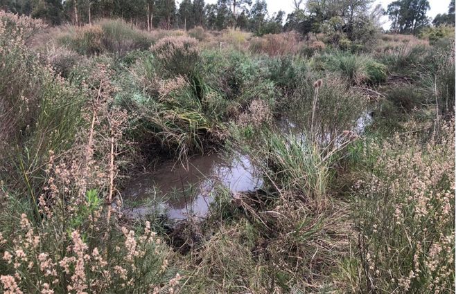 La cañada donde se hallaron los restos humanos 