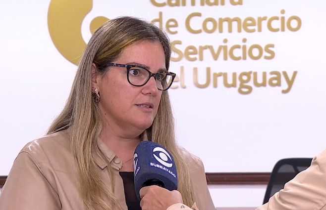 ana-laura-cámara-de-comercio